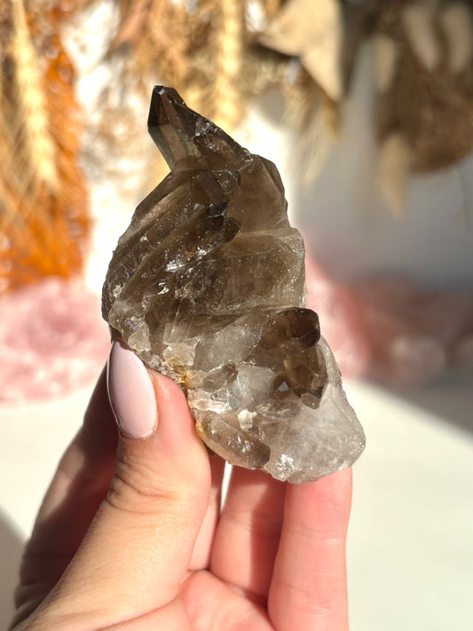 Smoky Quartz Cluster (Brazil)