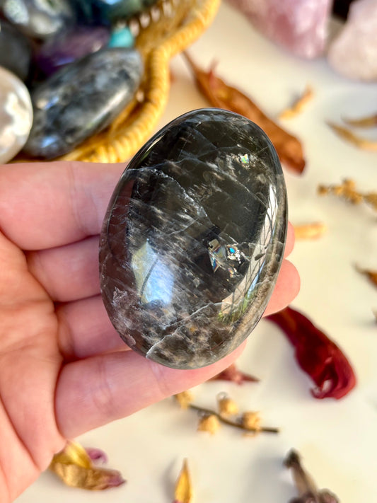 Black Moonstone Palm