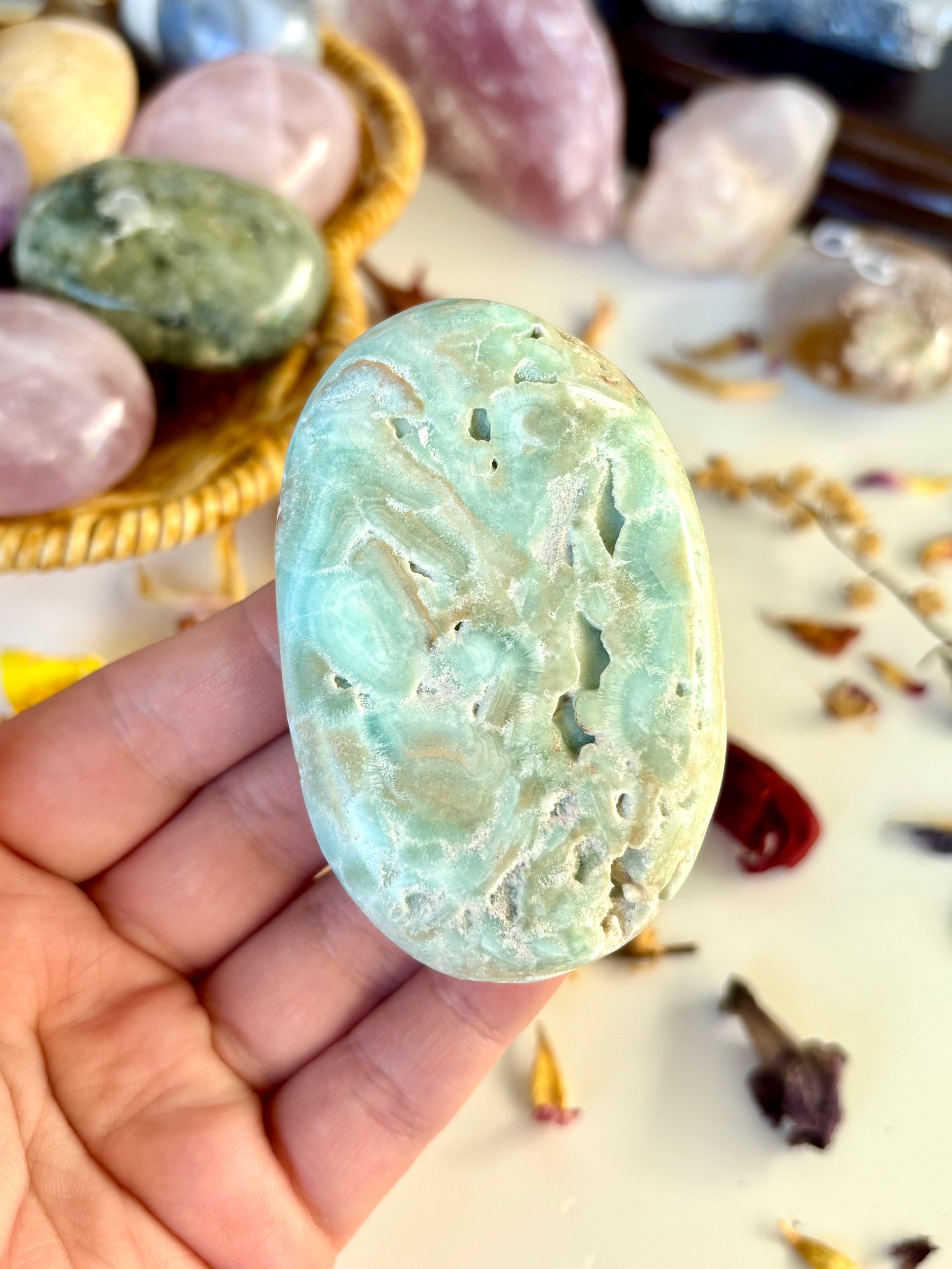 Aragonite Palm stone (C)