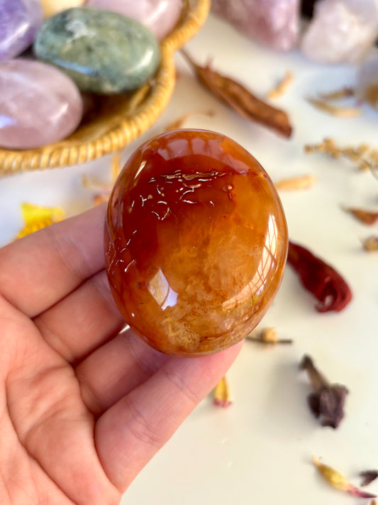Carnelian Palm