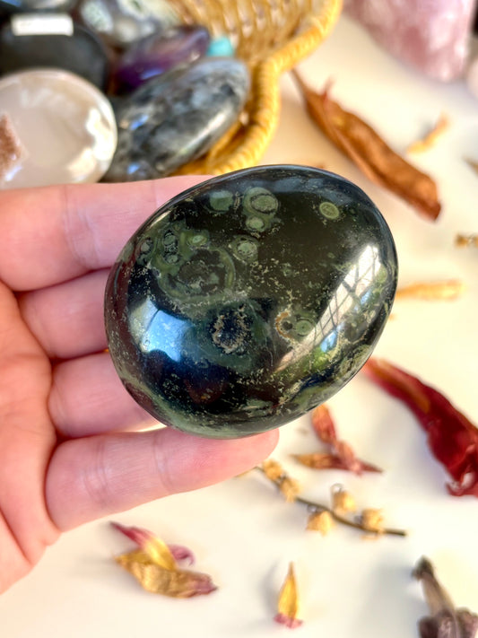Kambaba Jasper Palm