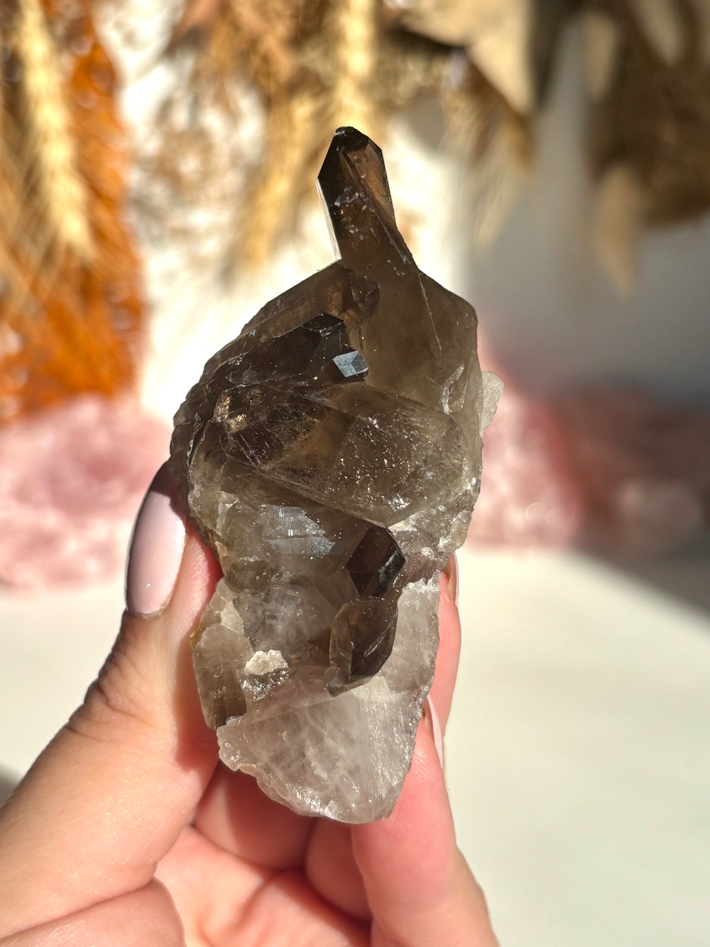 Smoky Quartz Cluster (Brazil)