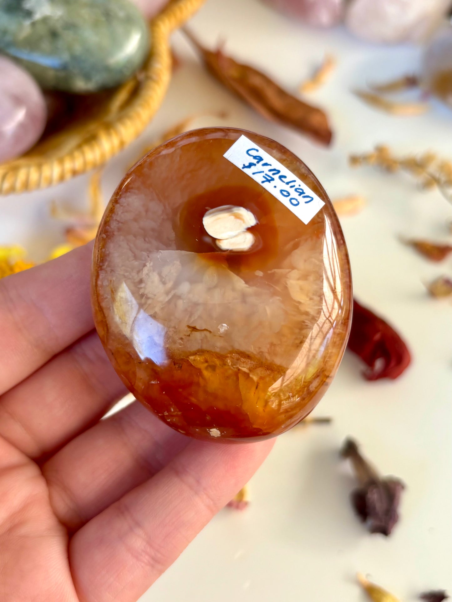 Carnelian Palm