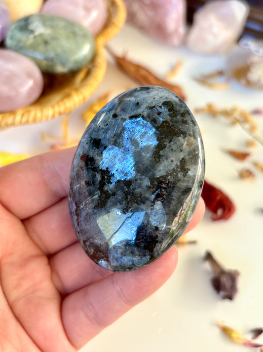 Flashy Larvikite Palm