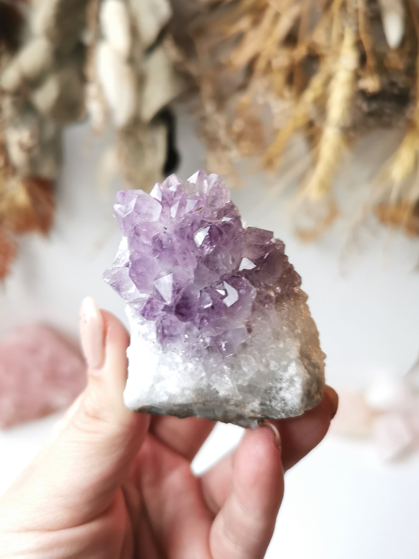 Amethyst Clusters