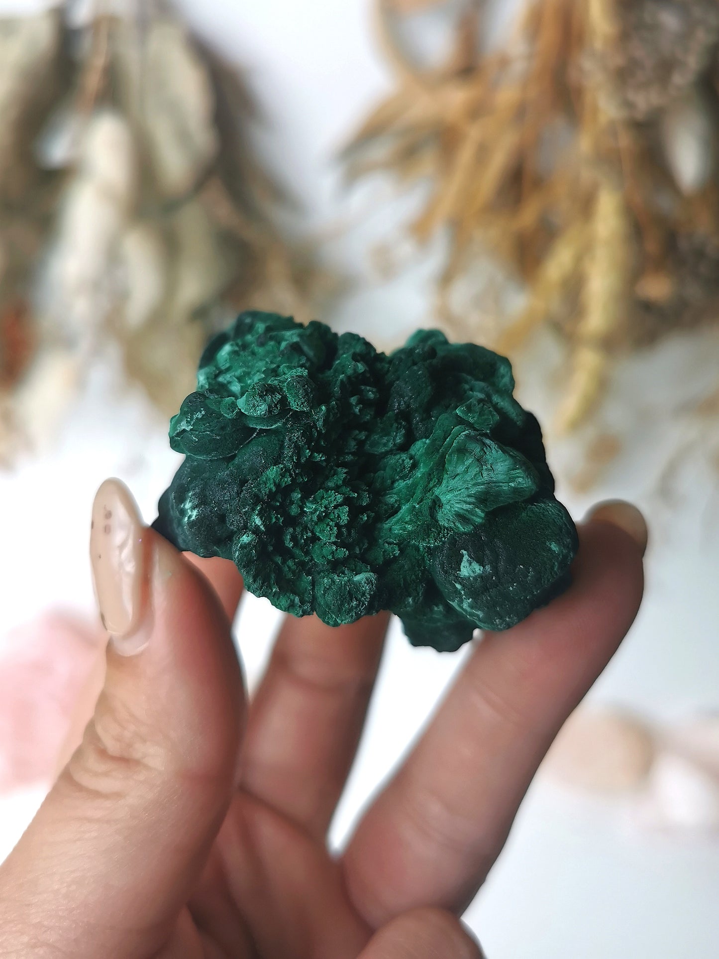 Velvet Malachite Specimen (B)