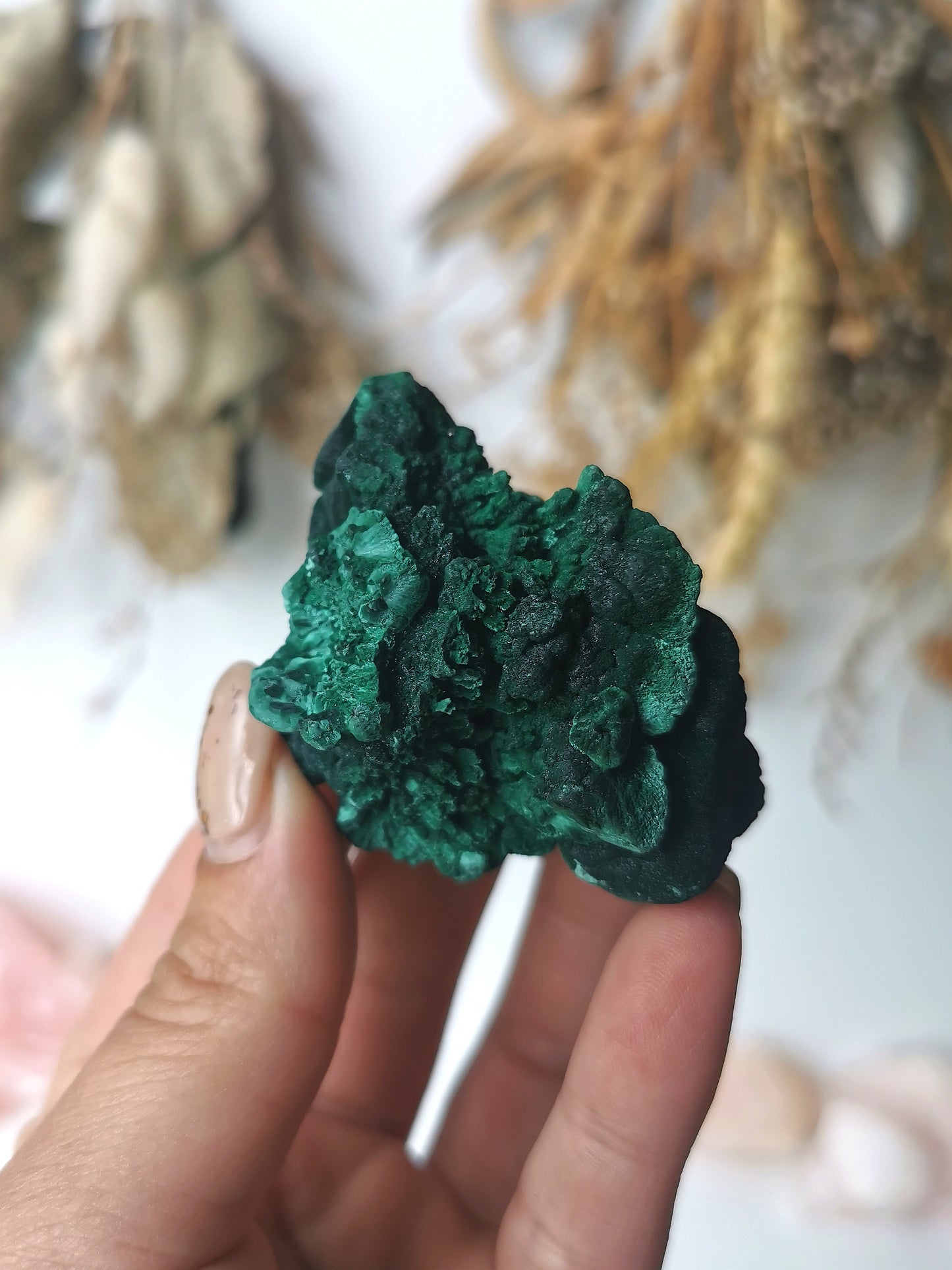 Velvet Malachite Specimen (B)