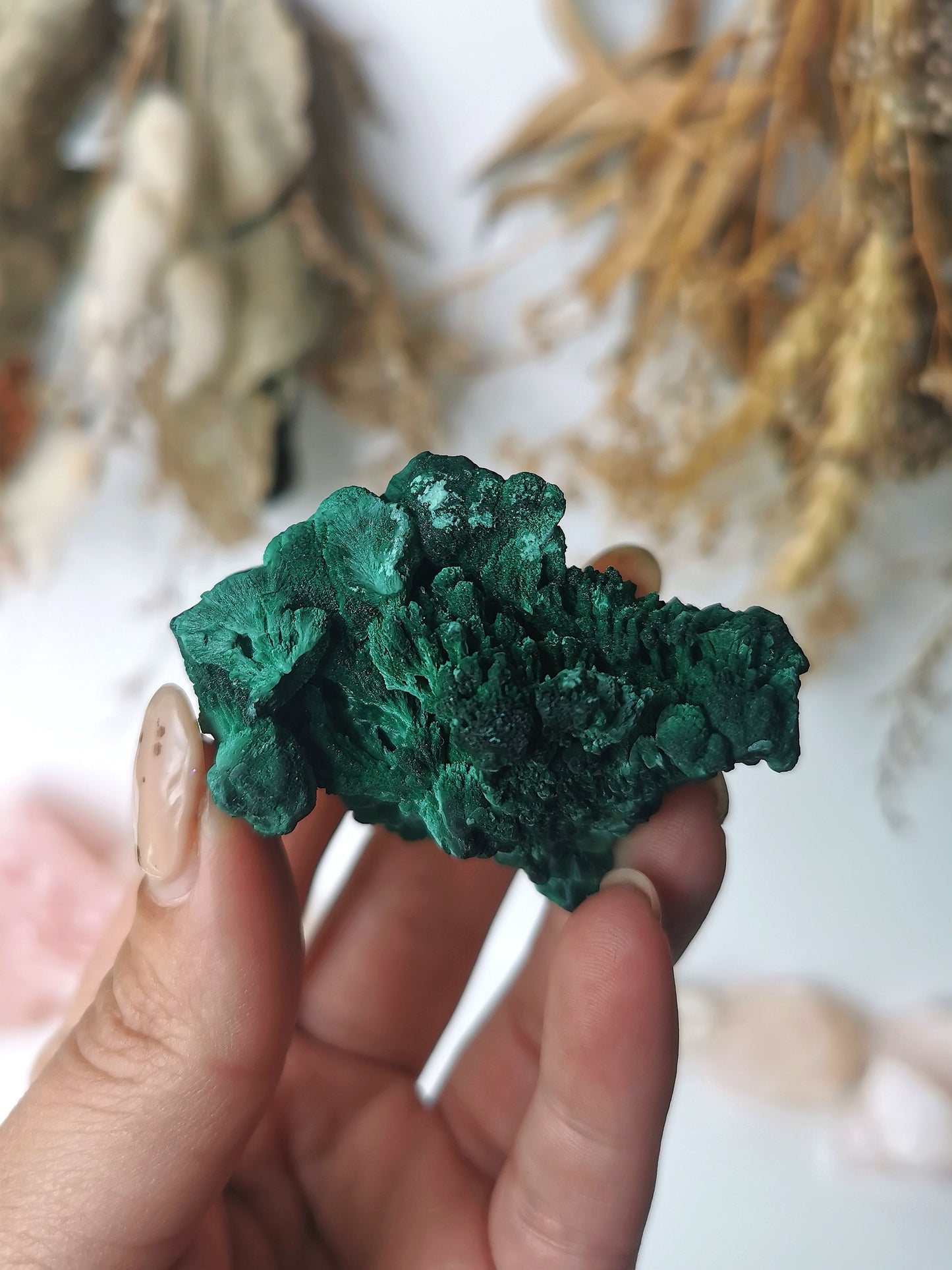 Velvet Malachite Specimen (B)