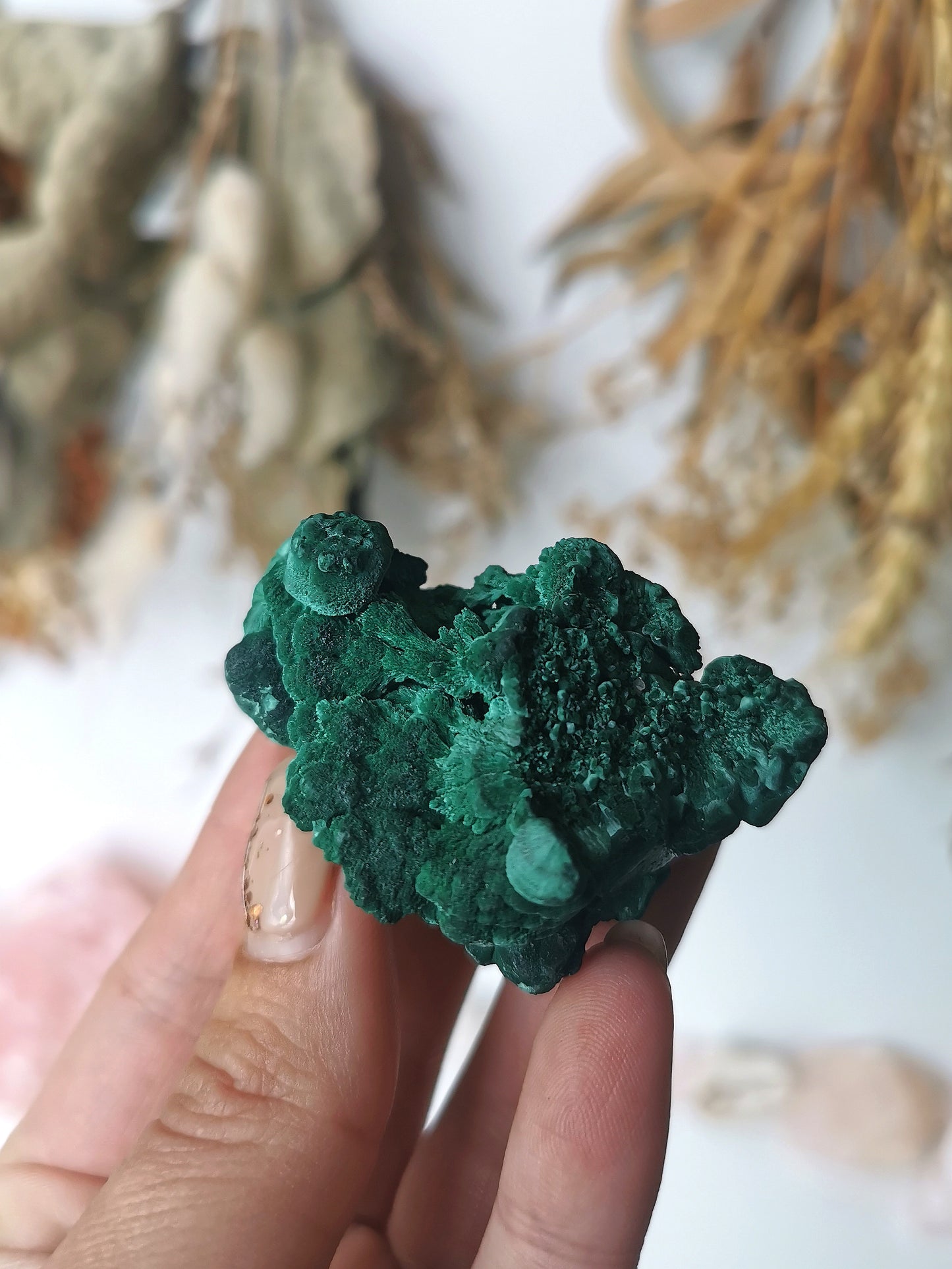 Velvet Malachite Specimen (B)