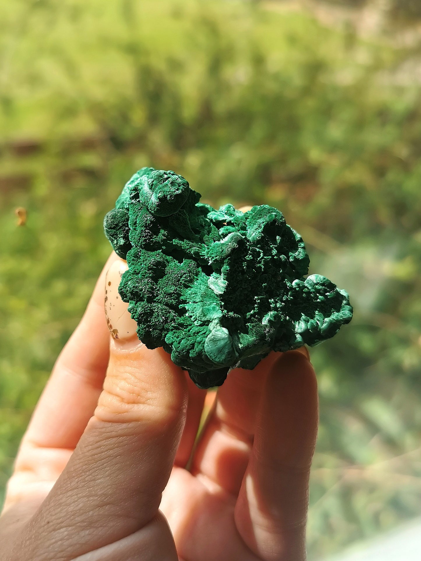 Velvet Malachite Specimen (B)