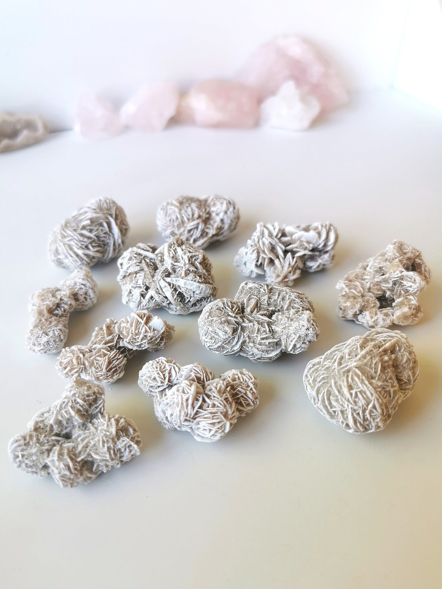 Desert Rose