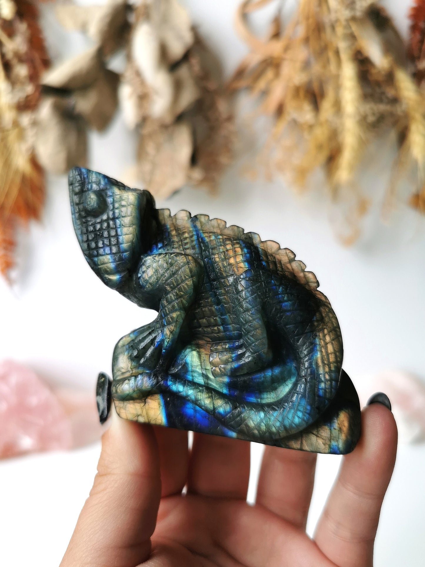 Labradorite Charmeleon