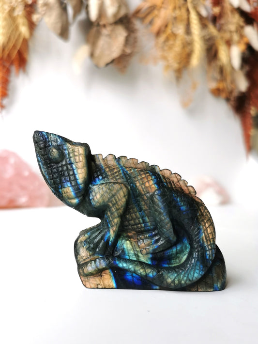 Labradorite Charmeleon