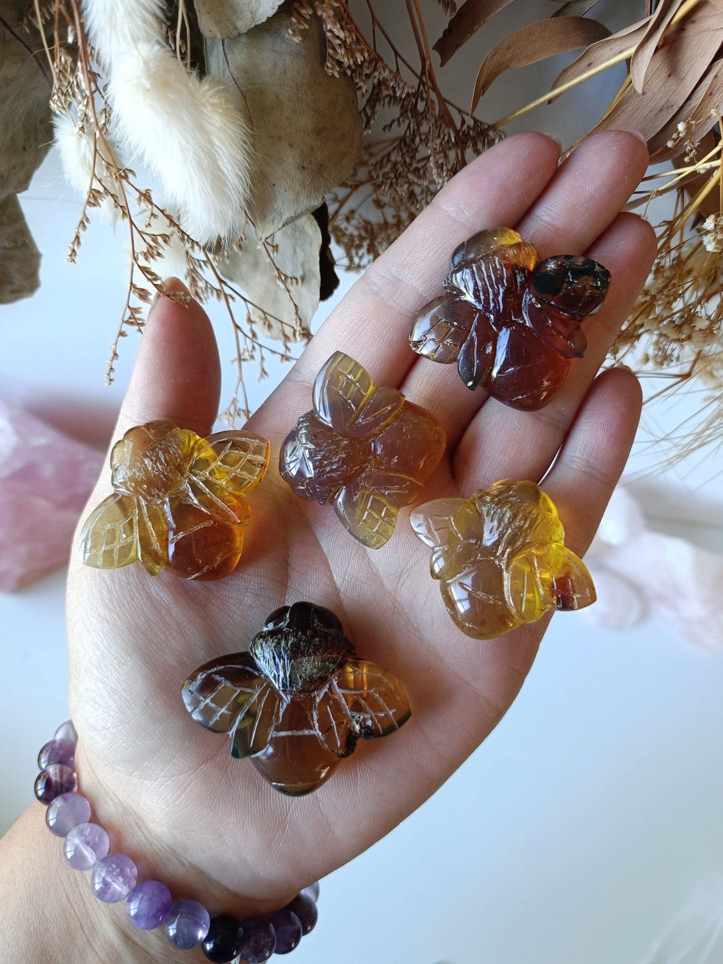 Indonesian Amber Bee