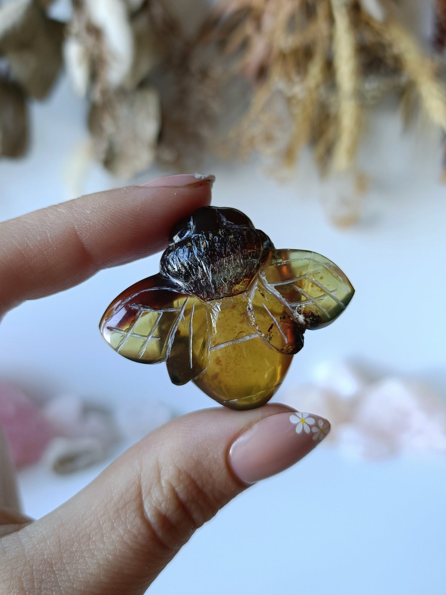 Indonesian Amber Bee