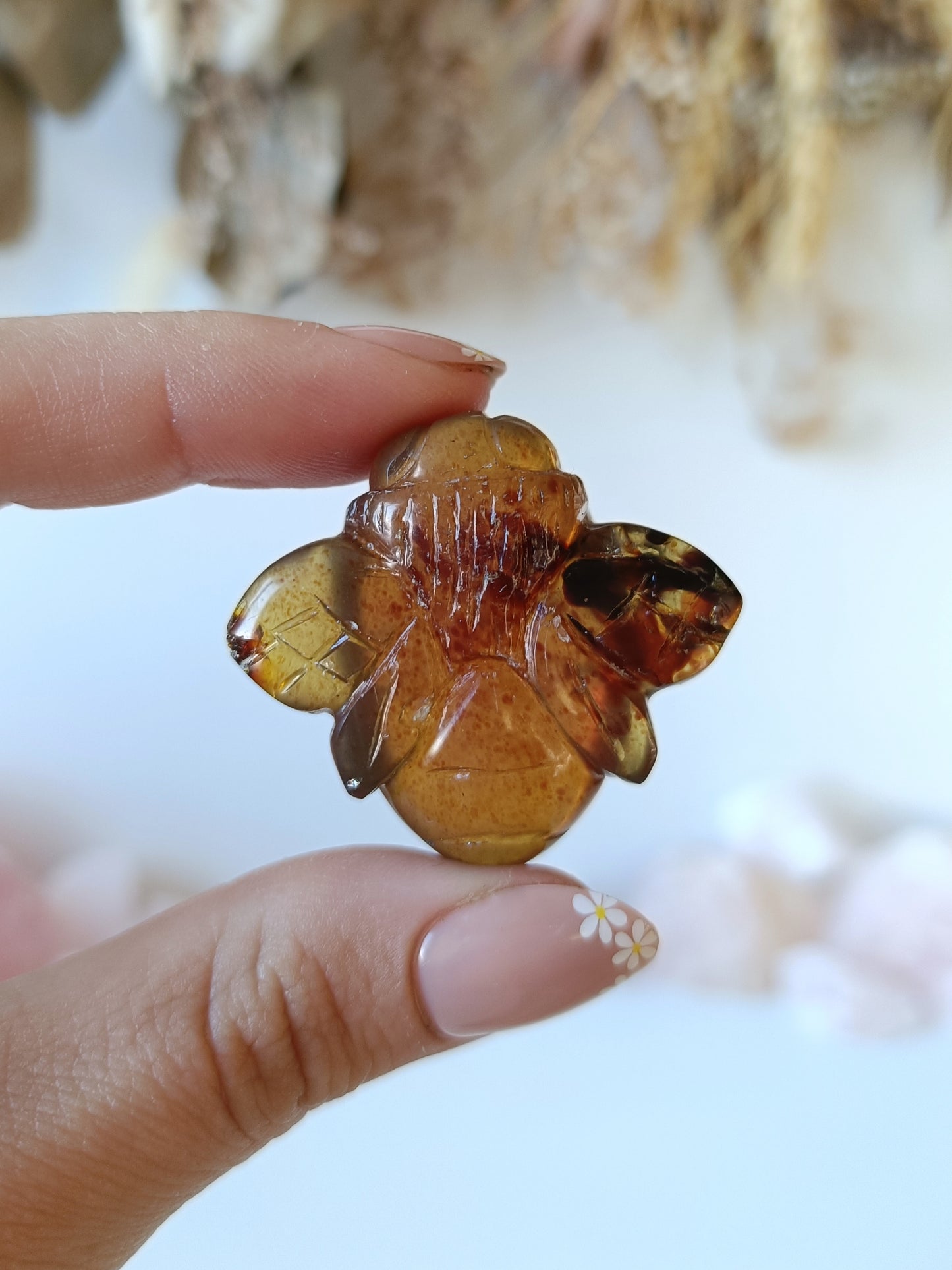 Indonesian Amber Bee