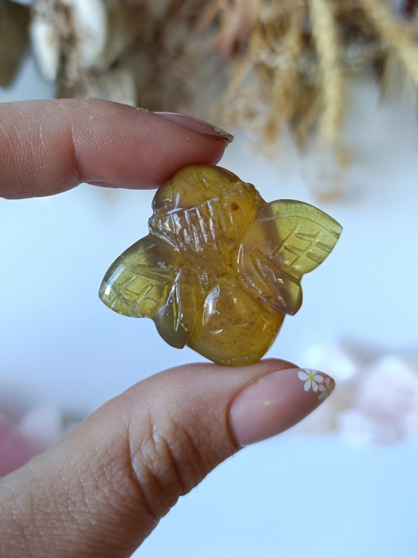 Indonesian Amber Bee