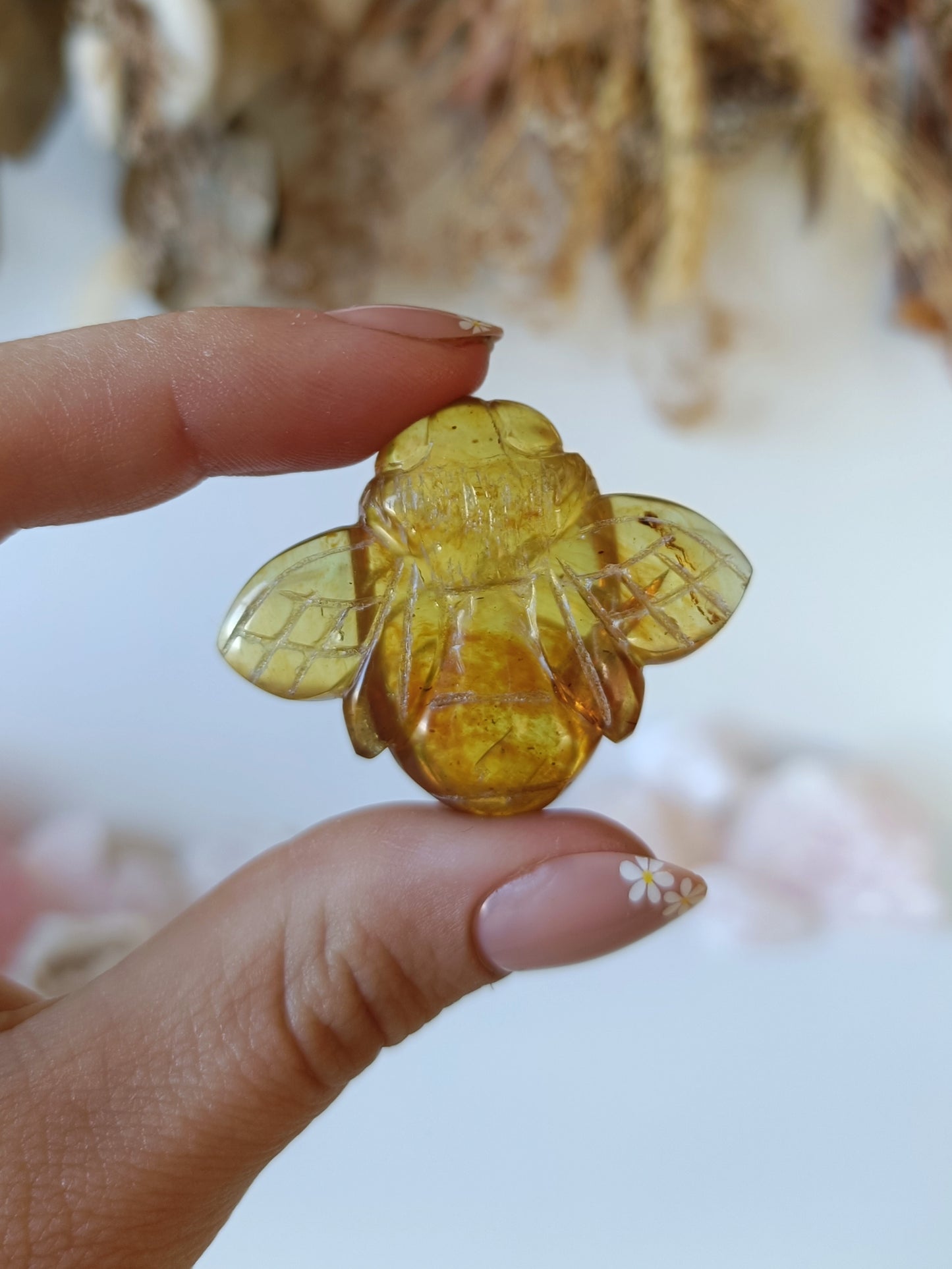 Indonesian Amber Bee