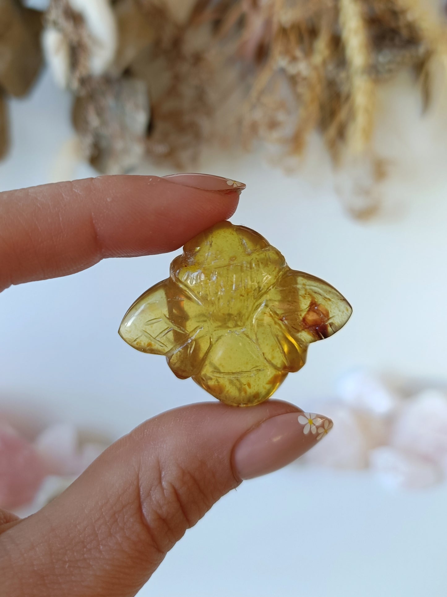 Indonesian Amber Bee