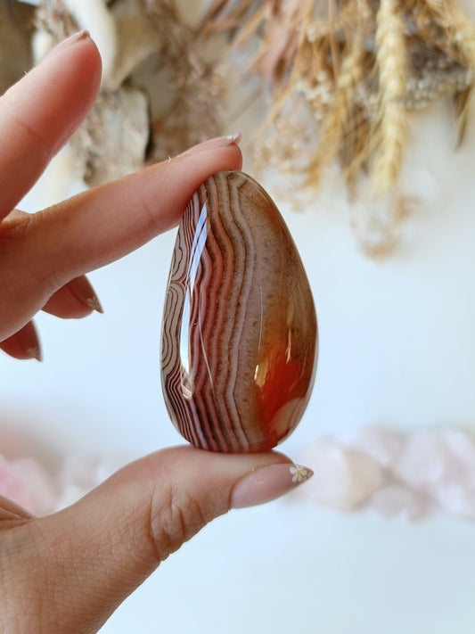 Silk Agate Palm Stone (D)