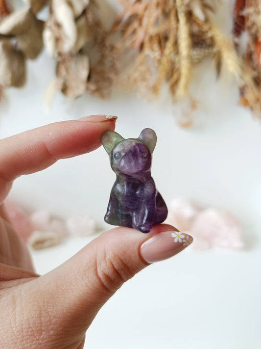 Fluorite Frenchie