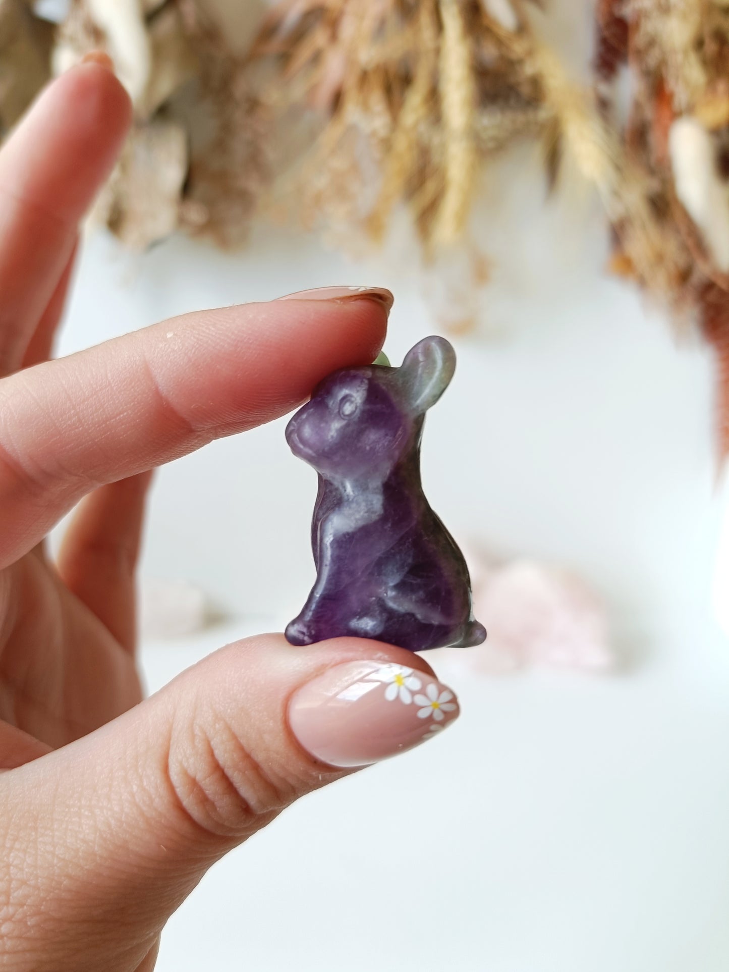 Fluorite Frenchie