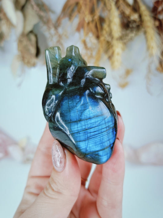 Labradorite Human Heart