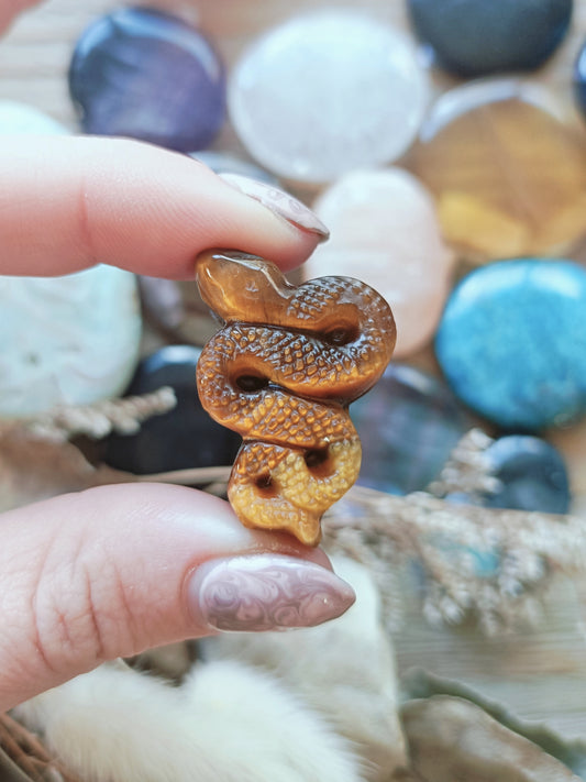 Tiger Eye Snake