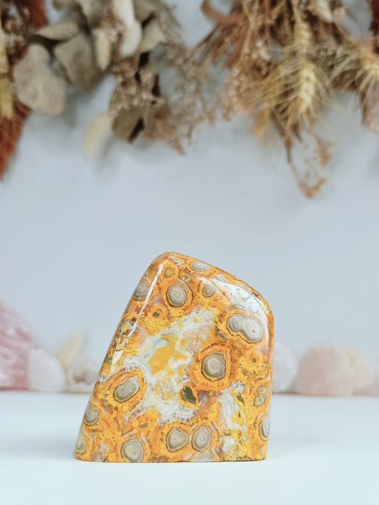 Orbicular Bumblebee Jasper (Rare bulleye)