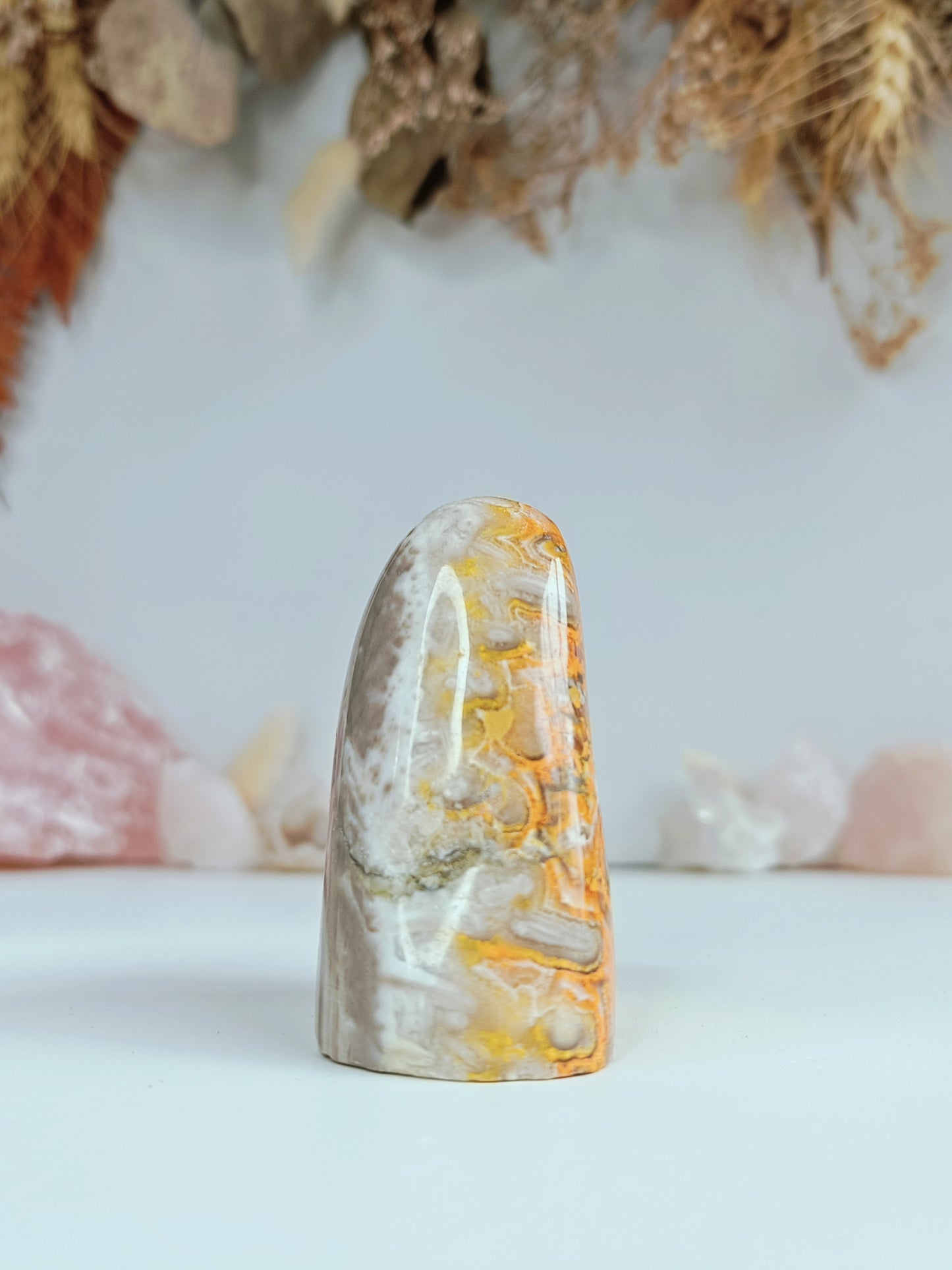 Orbicular Bumblebee Jasper (Rare bulleye)
