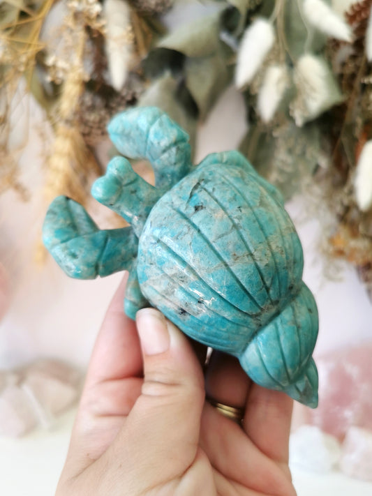 Amazonite Hermit Crab