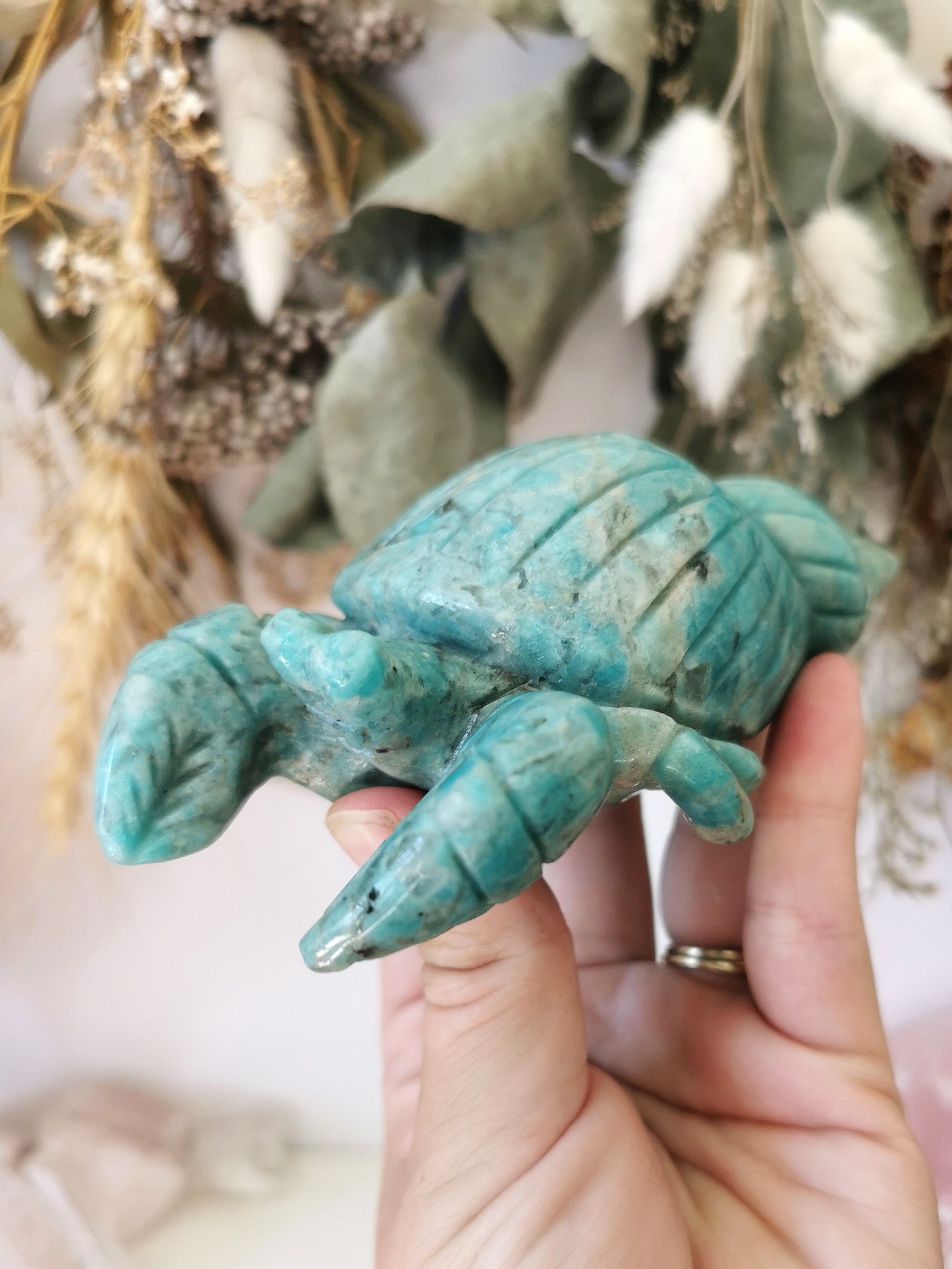 Amazonite Hermit Crab