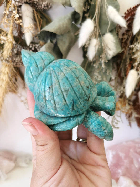 Amazonite Hermit Crab