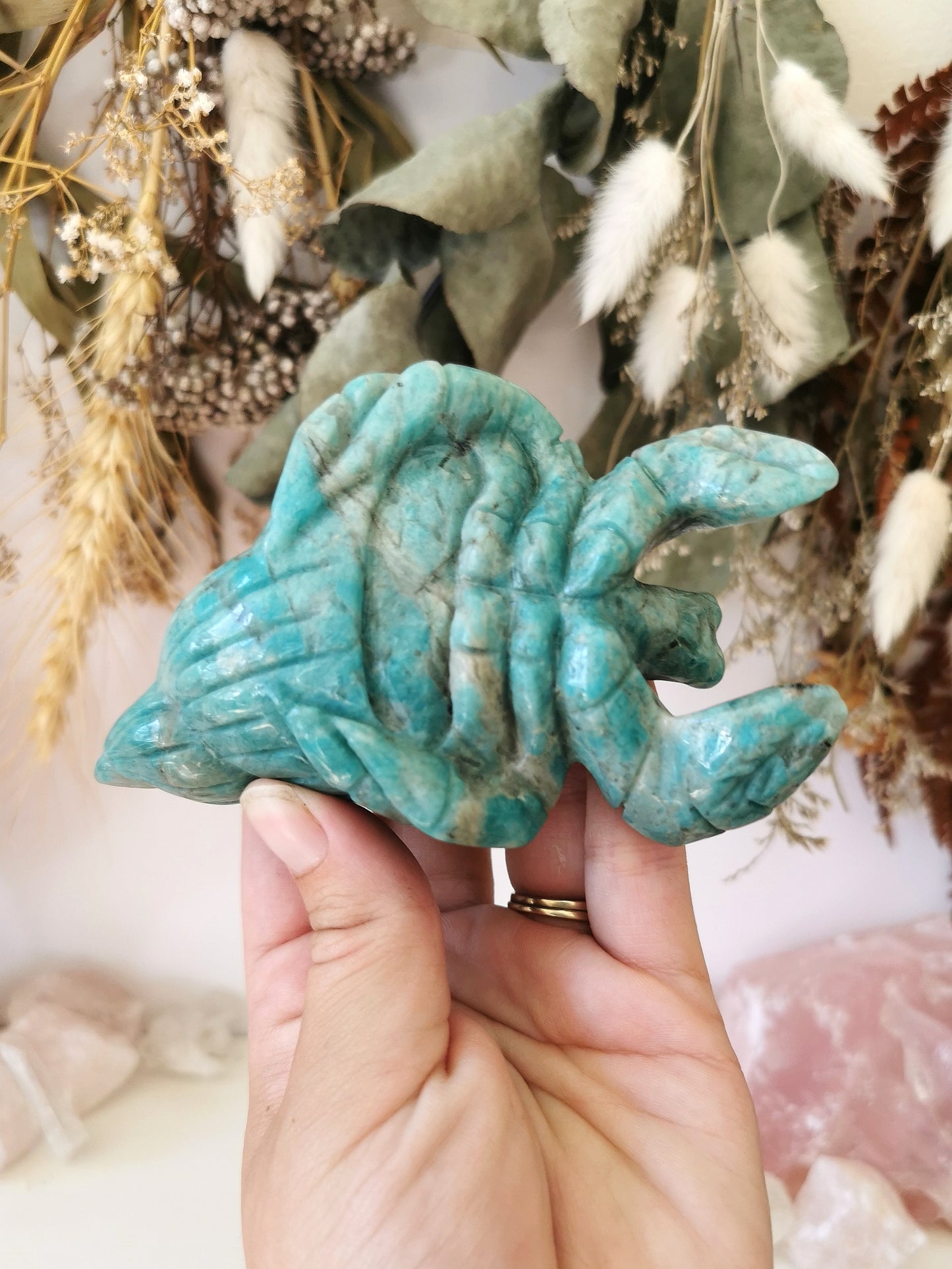 Amazonite Hermit Crab
