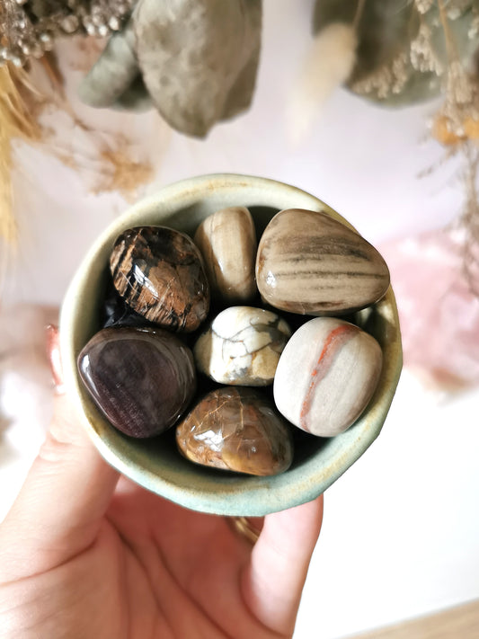 Petrified Wood Tumble
